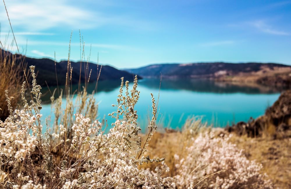 Brown foliage is focused in the foreground. The background is an out of focus lake surrounded by mountains.