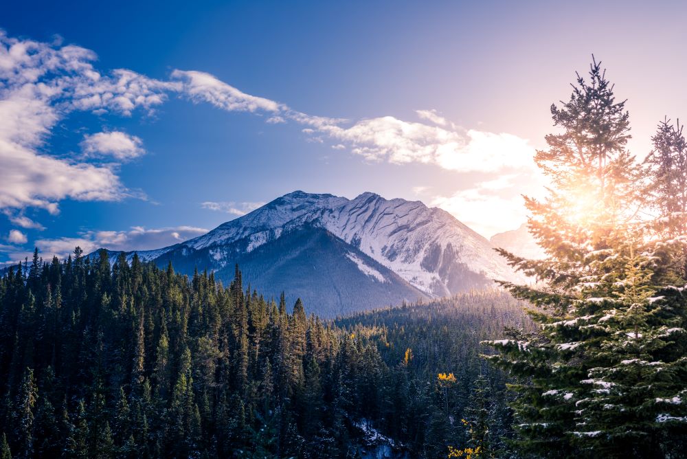 The sun rising over a snowcapped mountain. The sun is obscured by fir trees in the foreground that the light is poking through.